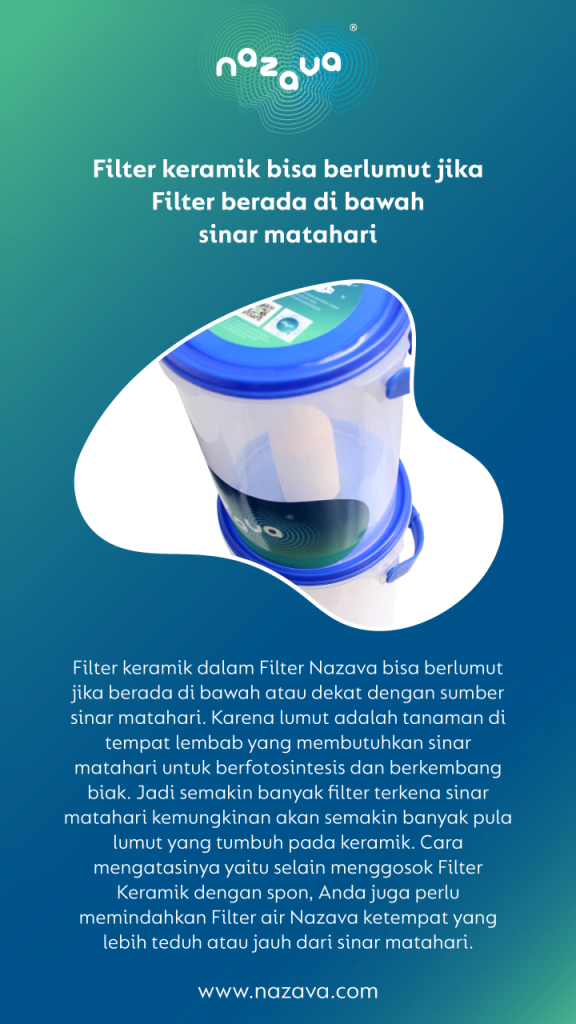 Kenapa filter keramik berlumut?