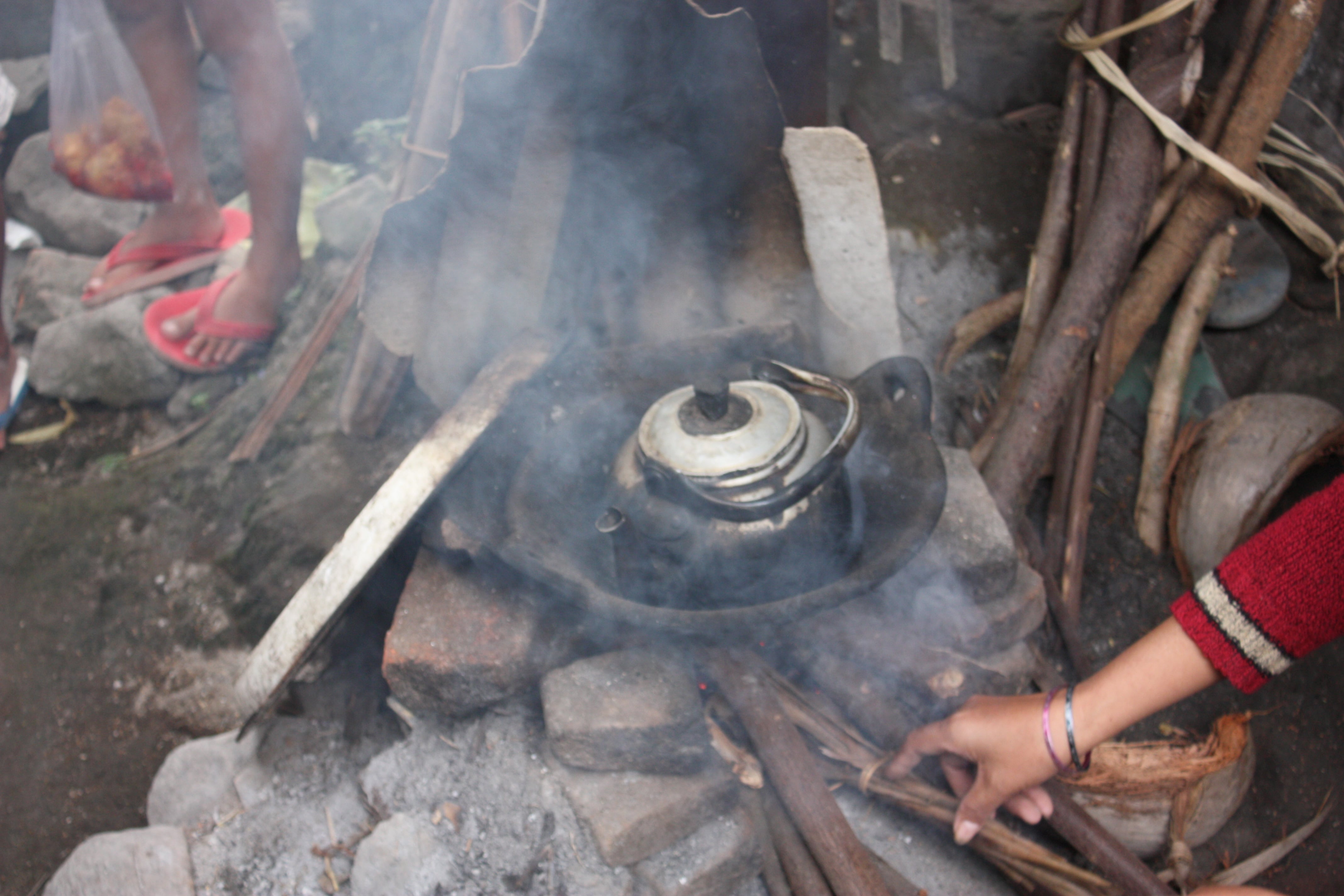 wood cooking still common and is a big killer